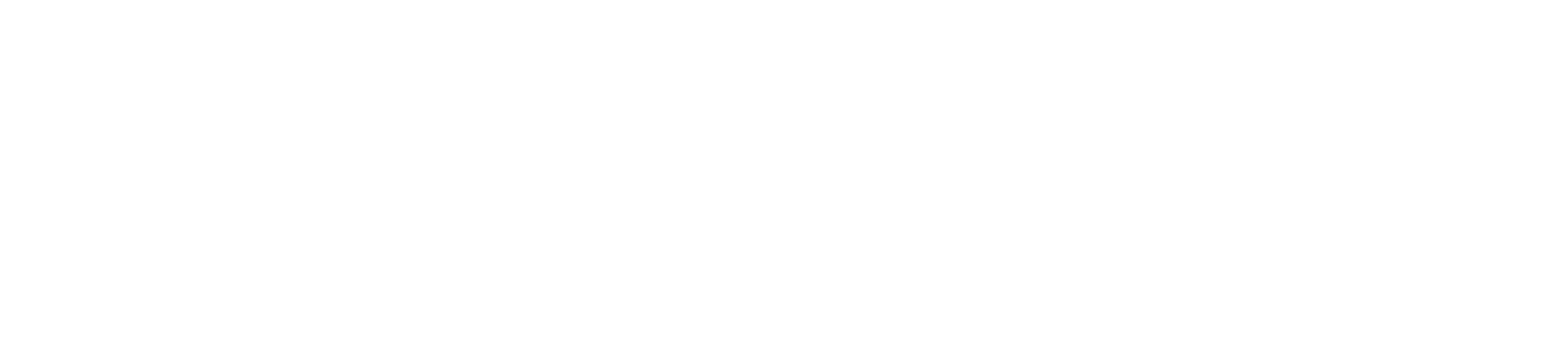 logo light
